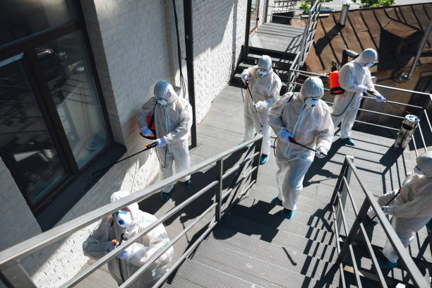 Trusted Greer, SC Mold Removal Experts