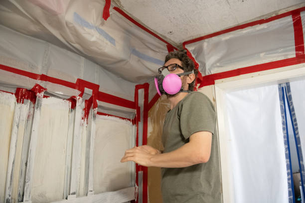 Best Real Estate Mold Inspection  in Greer, SC