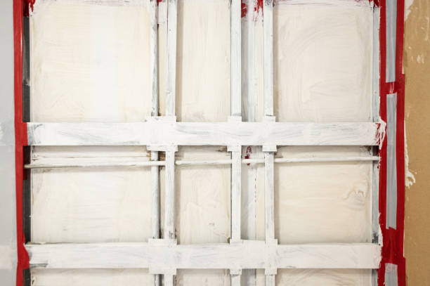 Best Mold Removal for HVAC Installations  in Greer, SC