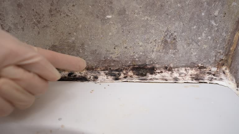 Best Dehumidification Services  in Greer, SC